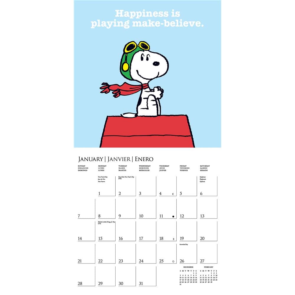 Peanuts Happiness Is 2024 Wall Calendar product image