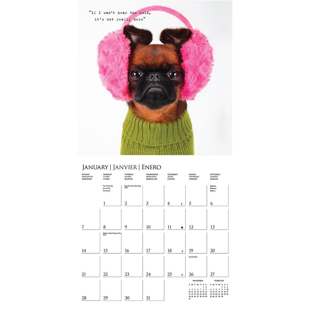 Pawparazzi 2024 Wall Calendar product image