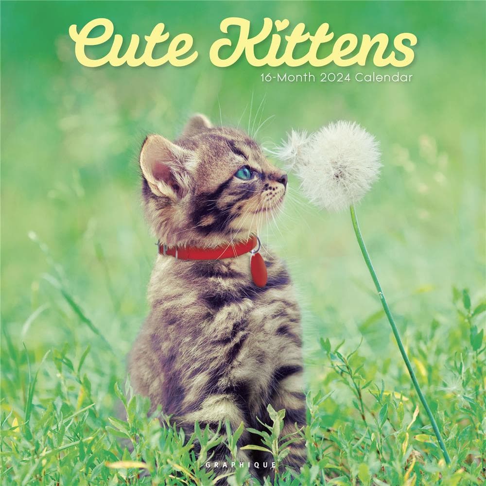 Cute Kittens 2024 Wall Calendar product image
