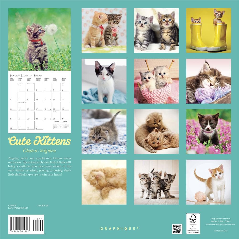 Cute Kittens 2024 Wall Calendar product image