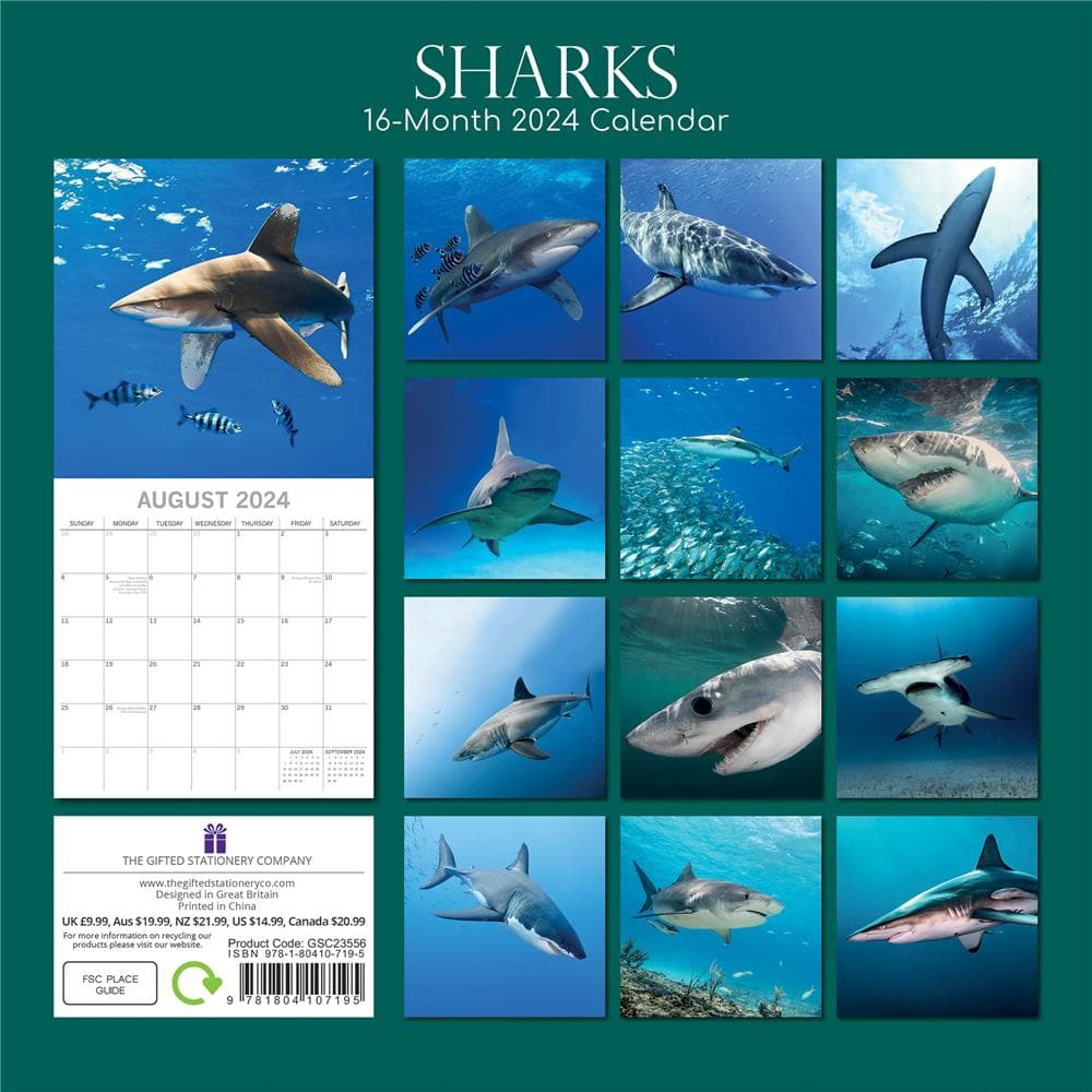 9781804107195 Sharks 2024 Wall Calendar The Gifted Stationery Co Ltd