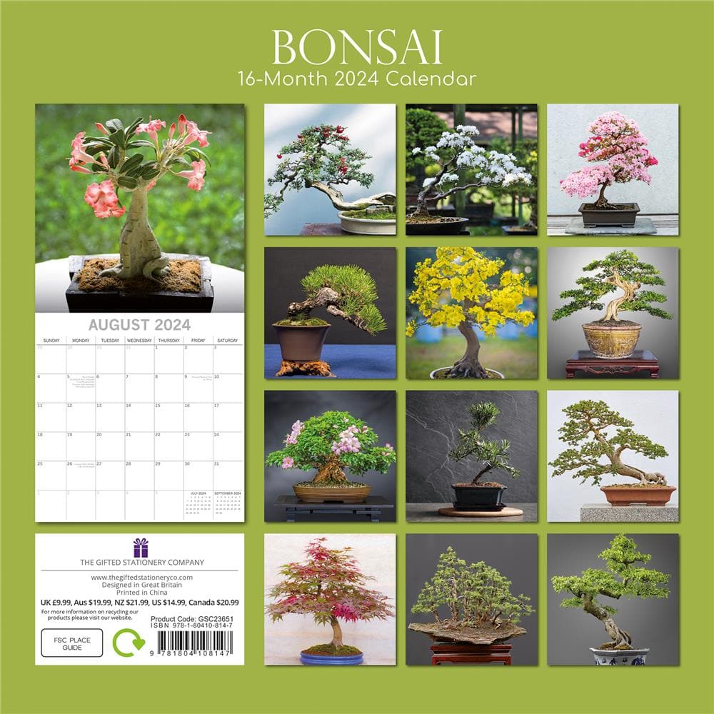 Bonsai Wall product image
