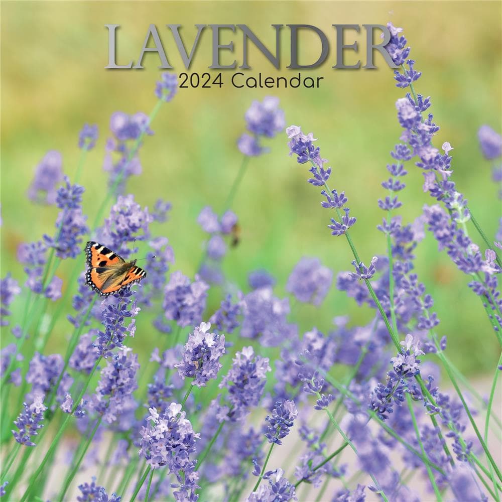 Lavender 2024 Wall Calendar product image