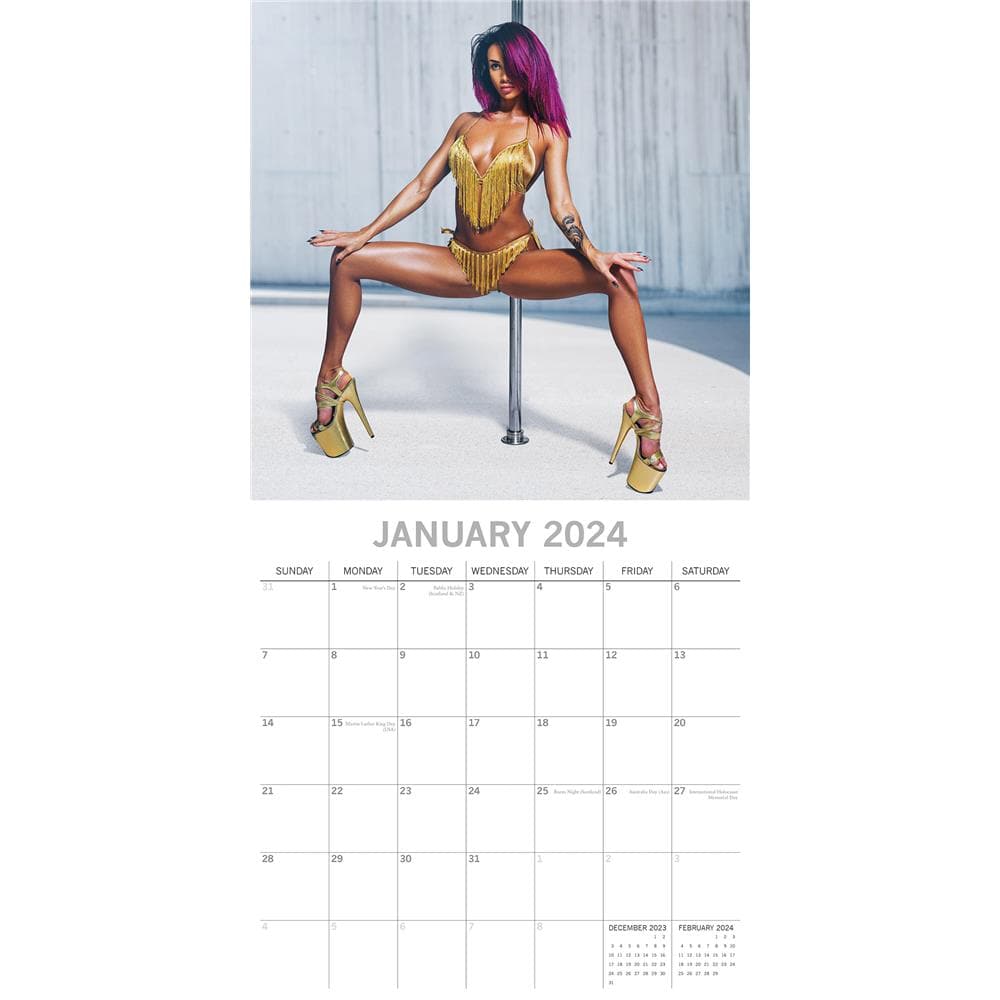 Pole Dancers 2024 Wall Calendar product image