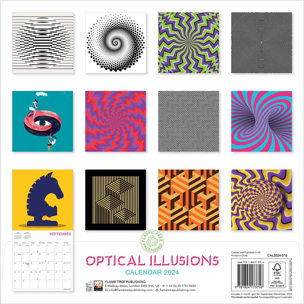 Optical Illusions 2024 Wall Calendar  product image