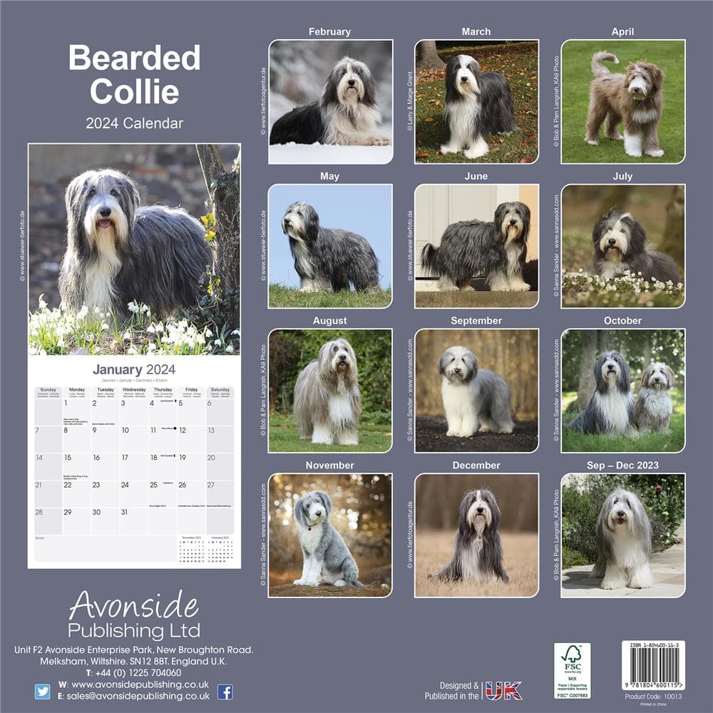 Bearded Collie 2024 Wall Calendar product image