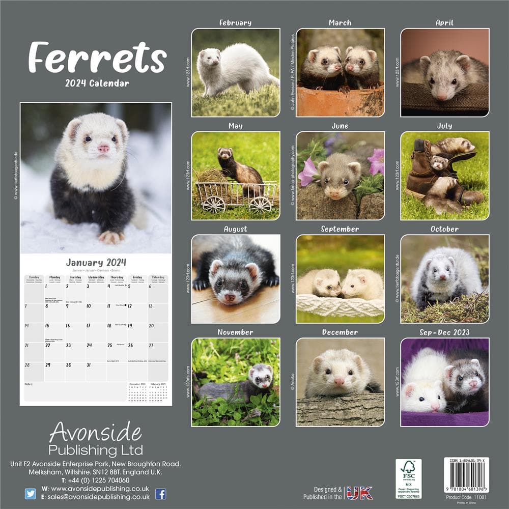Ferrets 2024 Wall Calendar product image