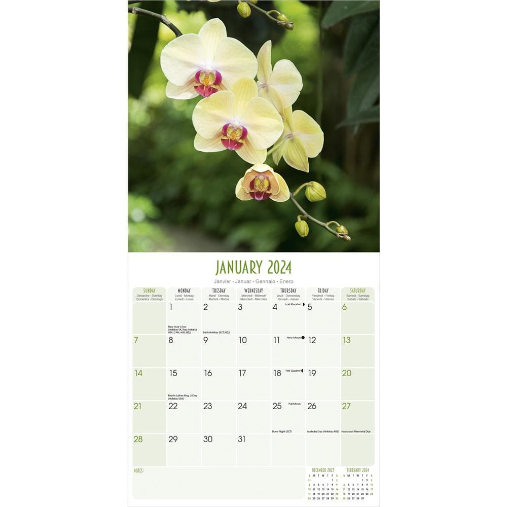 Orchids 2024 Wall Calendar product image