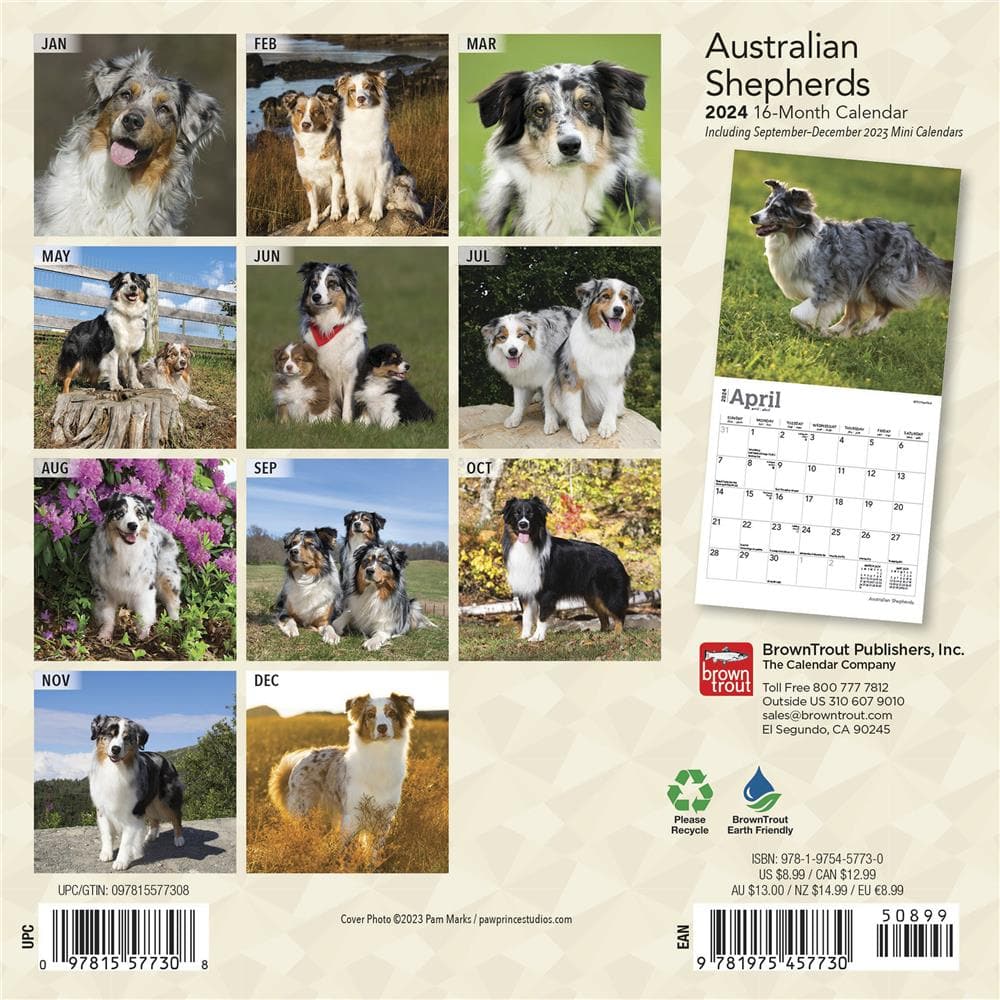 Australian Shepherds 2024 Mini Calendar product Image