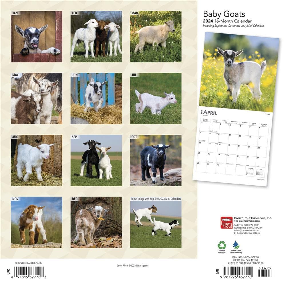 Baby Goats 2024 Wall Calendar product image