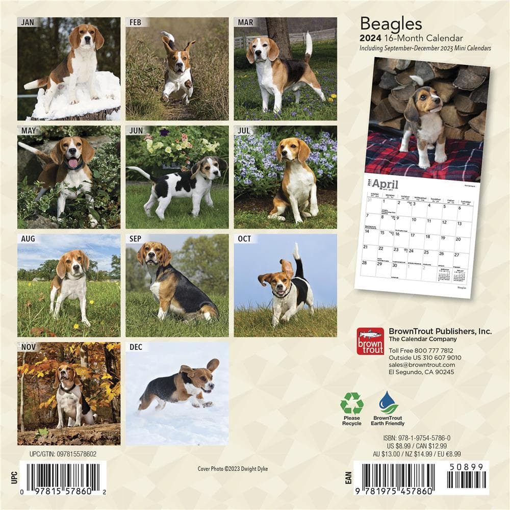 Beagles 2024 Mini Calendar product Image