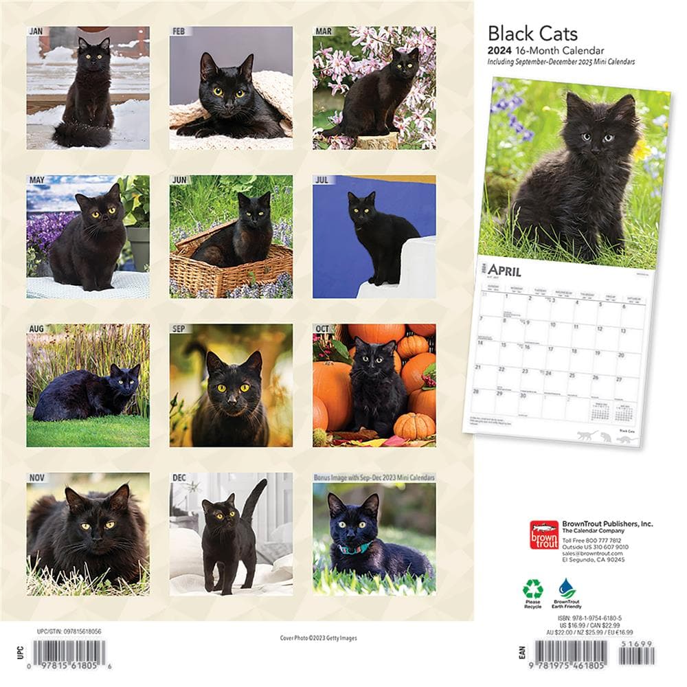 Black Cats 2024 Wall Calendar product image