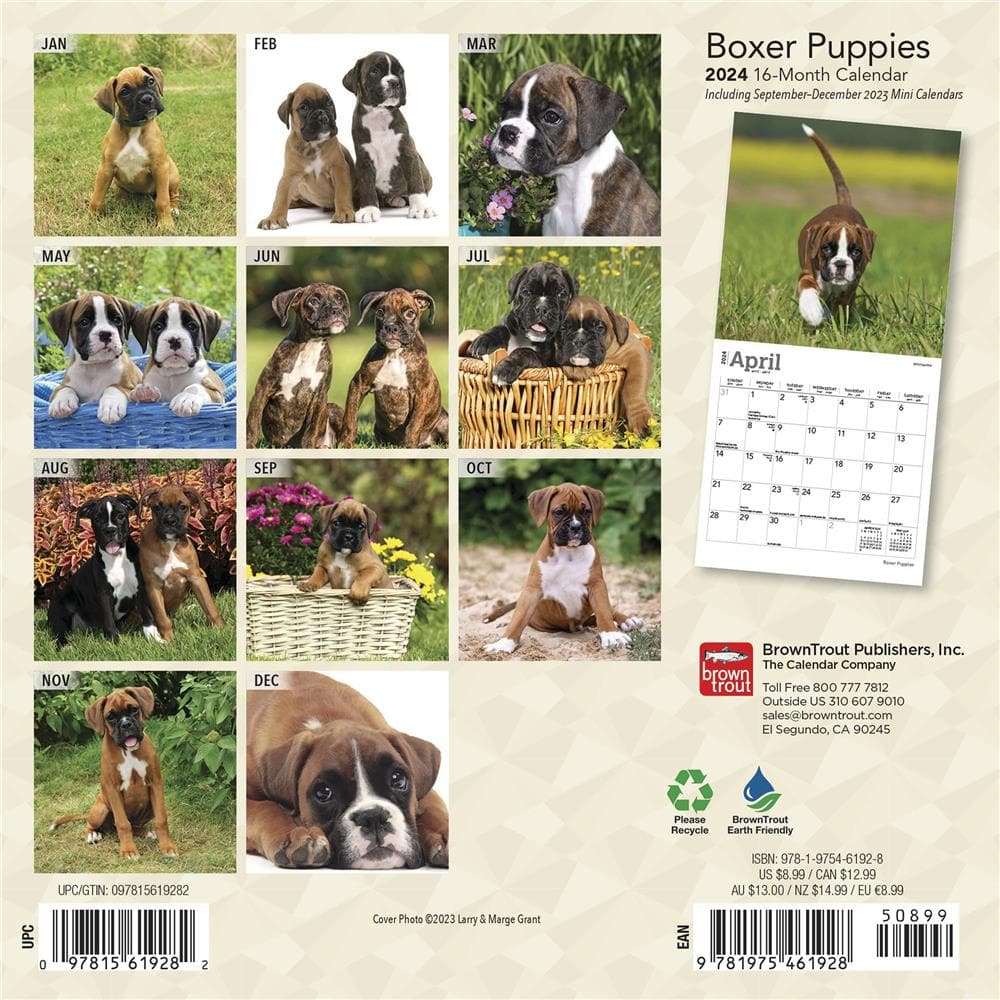 Boxer Puppies 2024 Mini Calendar product Image