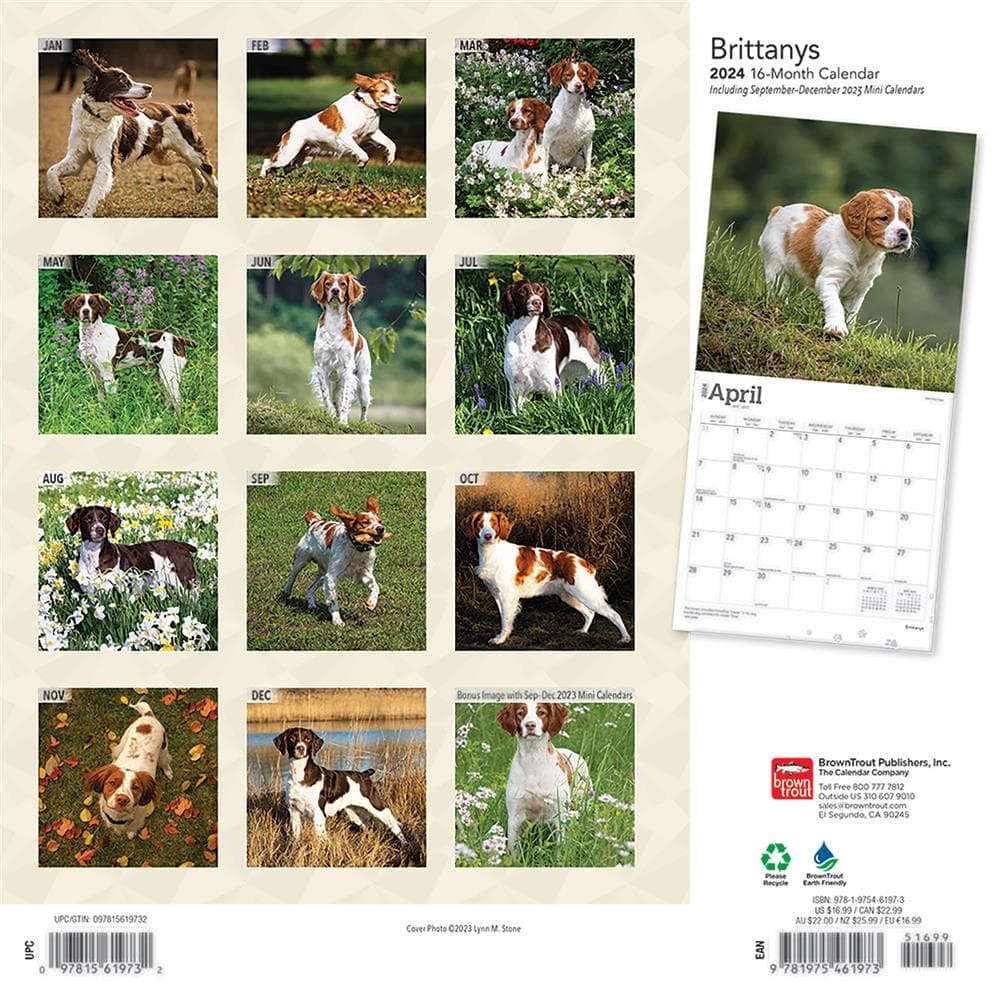 Brittanys 2024 Wall Calendar product Image
