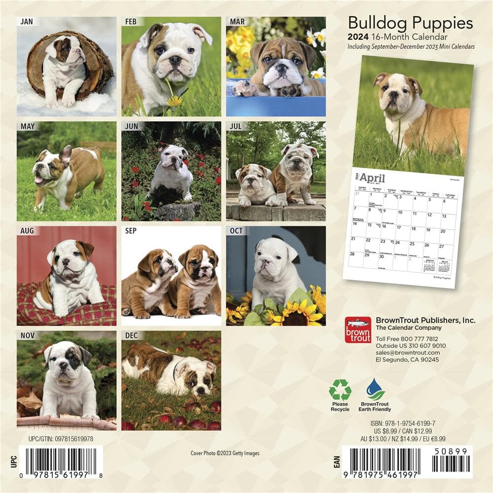 Bulldog Puppies 2024 Mini Calendar product Image