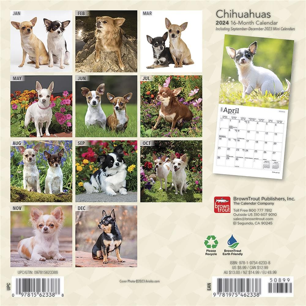 Chihuahuas 2024 Mini Calendar  product image