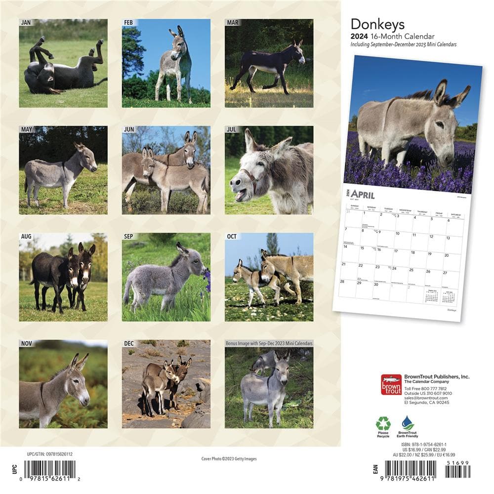 Donkeys 2024 Wall Calendar product image