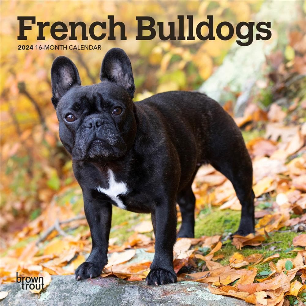 French Bulldogs 2024 Mini Calendar  product image