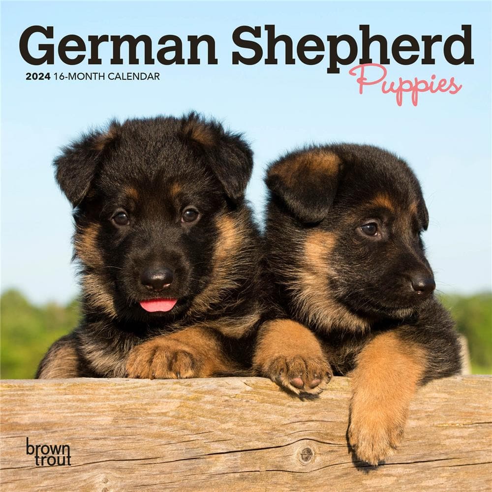 German Shepherd Puppies 2024 Mini Calendar product Image