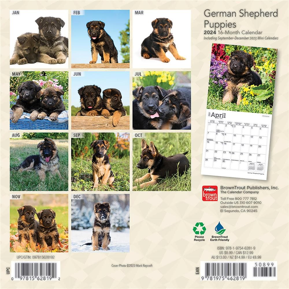German Shepherd Puppies 2024 Mini Calendar product Image