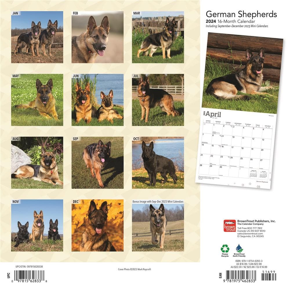 German Shepherds 2024 Wall Calendar  product image