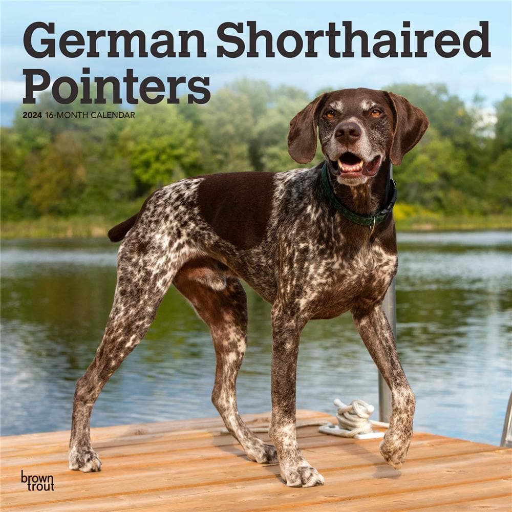 German Shorthaired Pointers 2024 Wall Calendar product Image