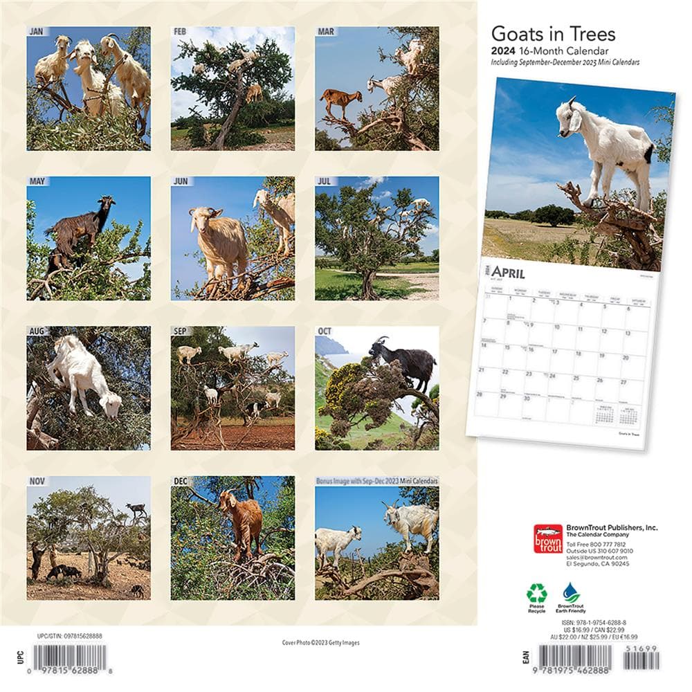 Goats in Trees 2024 Wall Calendar product image