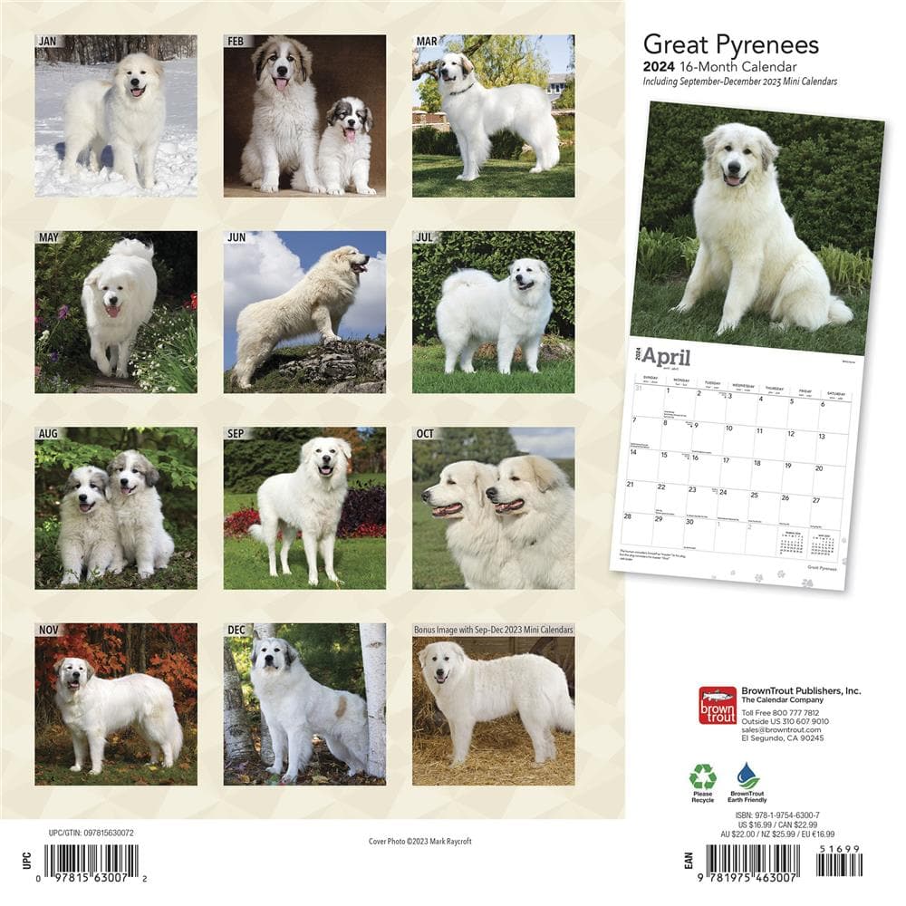 Great Pyrenees 2024 Wall Calendar product Image