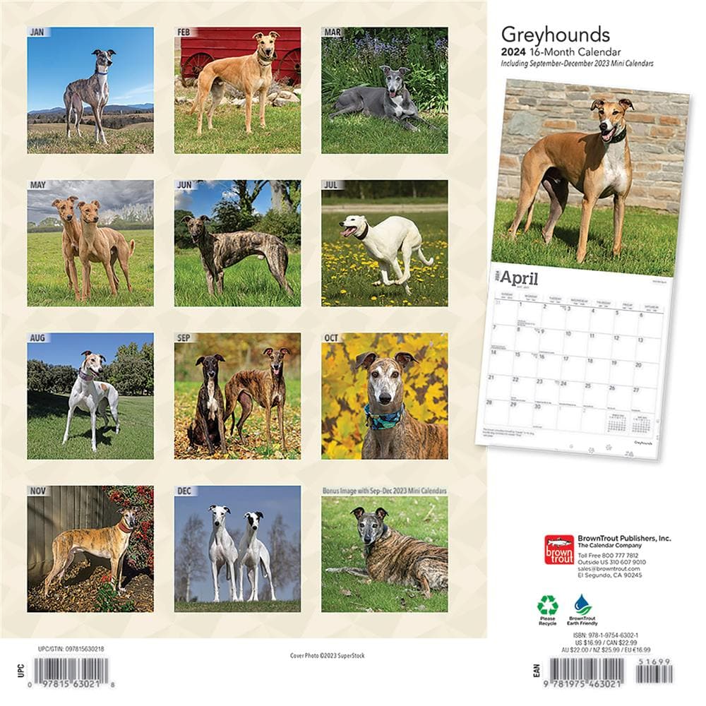 Greyhounds 2024 Wall Calendar product Image