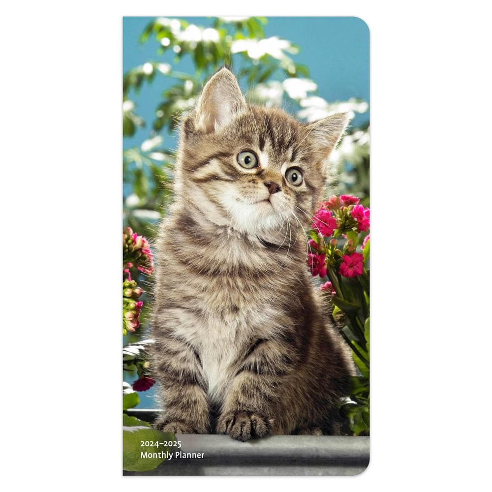 Kitten Cuddles 2024 2 yr Pocket Planner Calendar product image
