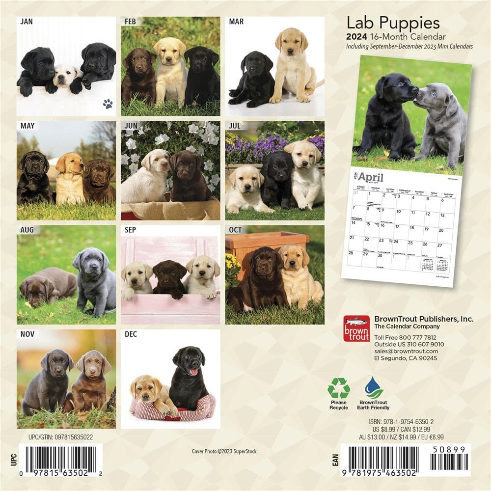 Lab Puppies 2024 Mini Calendar product Image