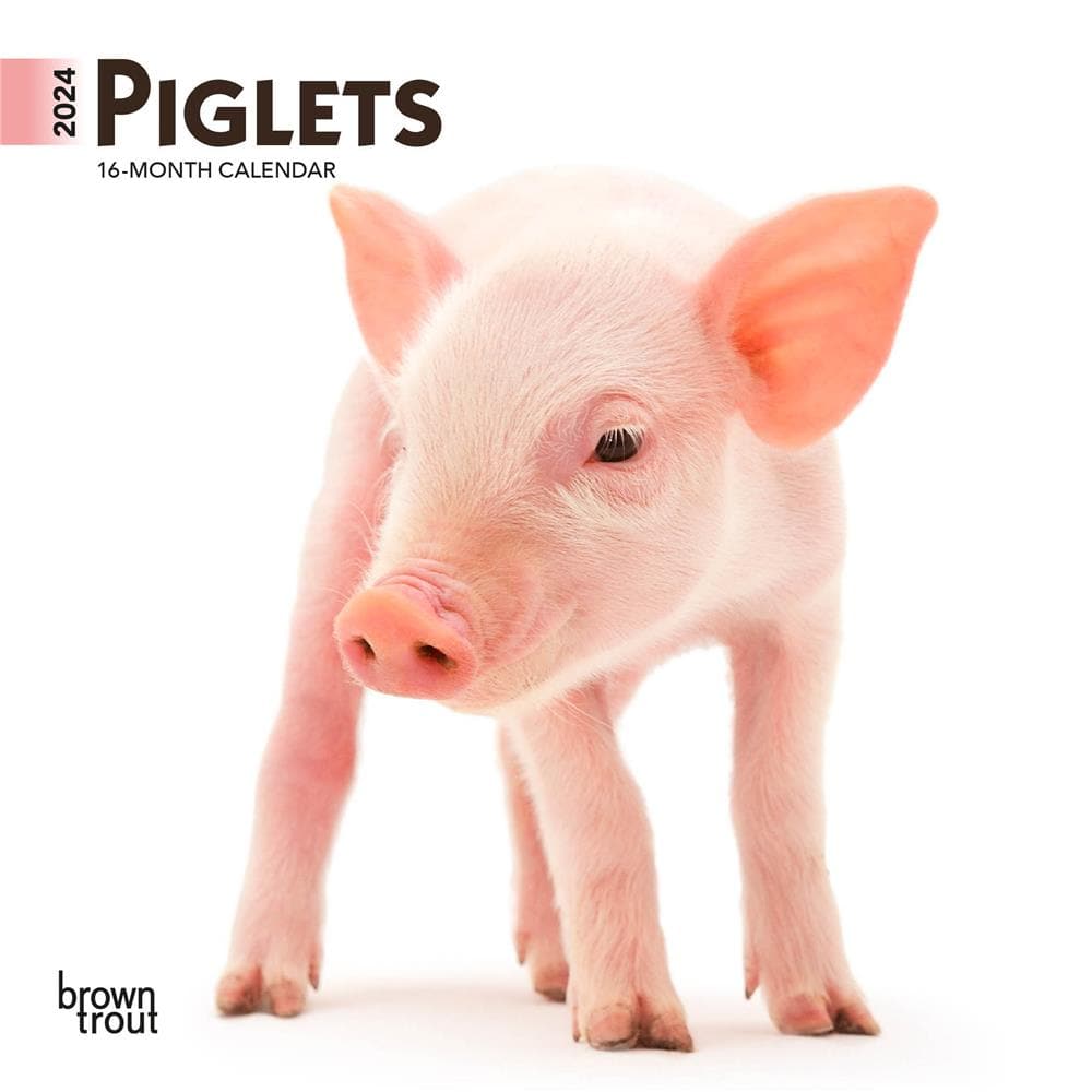 Piglets 2024 Mini Calendar product image