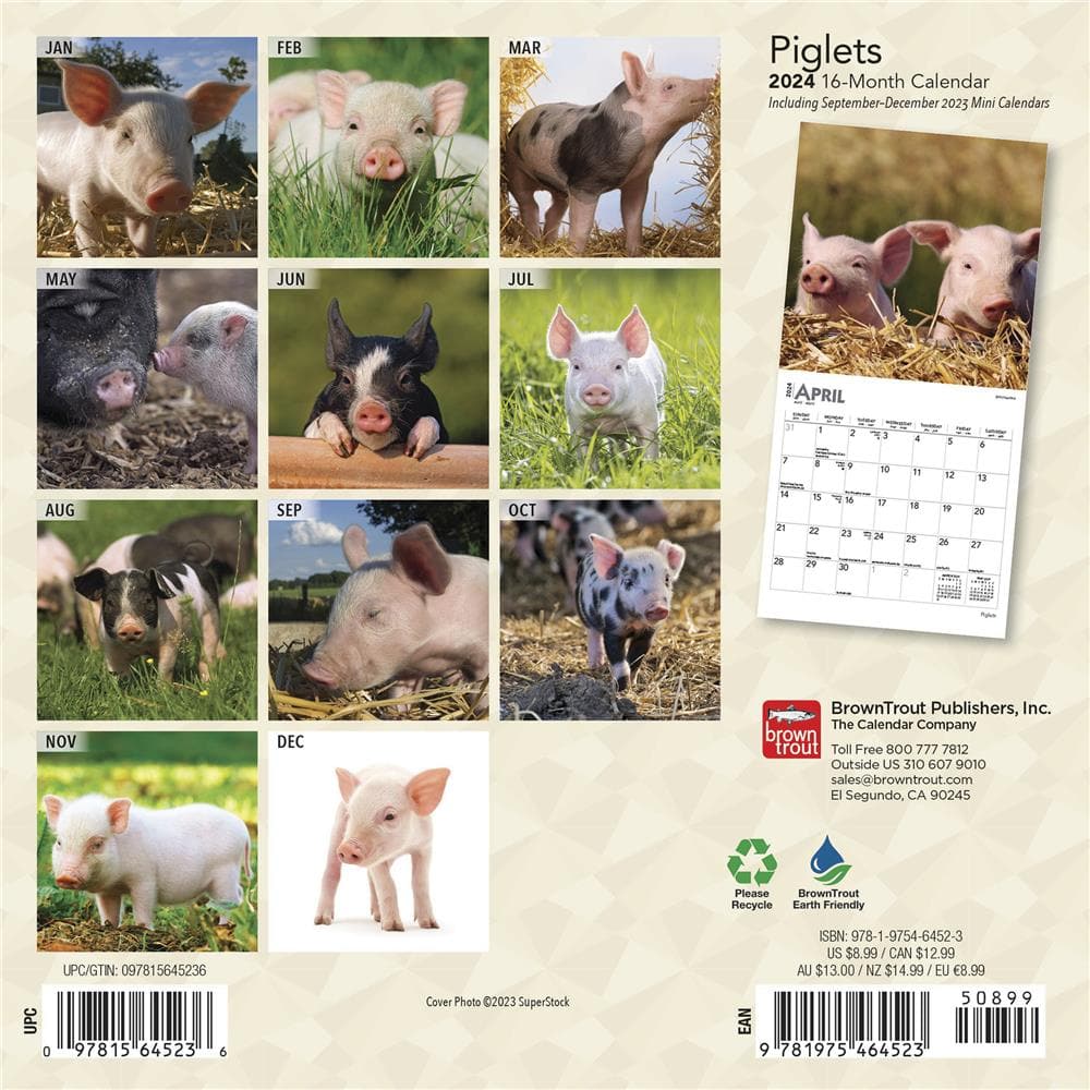 Piglets 2024 Mini Calendar product image
