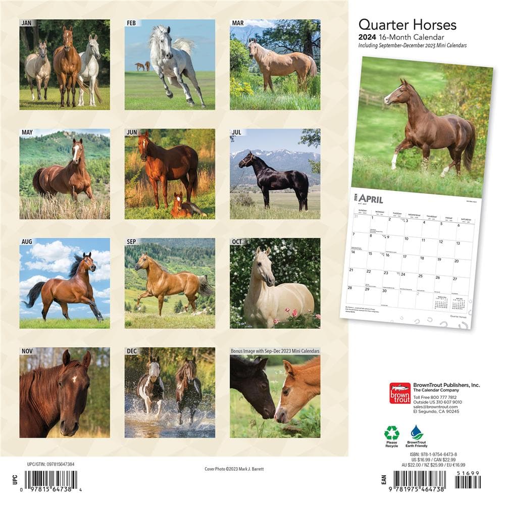 Quarter Horses 2024 Wall Calendar  product image