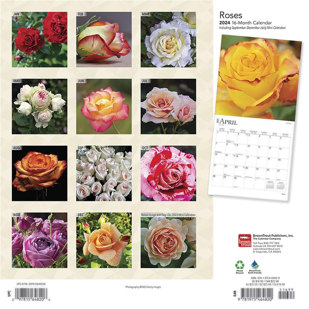 Roses 2024 Wall Calendar  product image