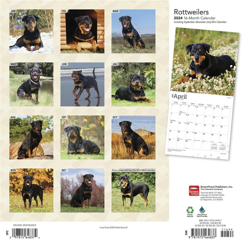 Rottweilers 2024 Wall Calendar product Image