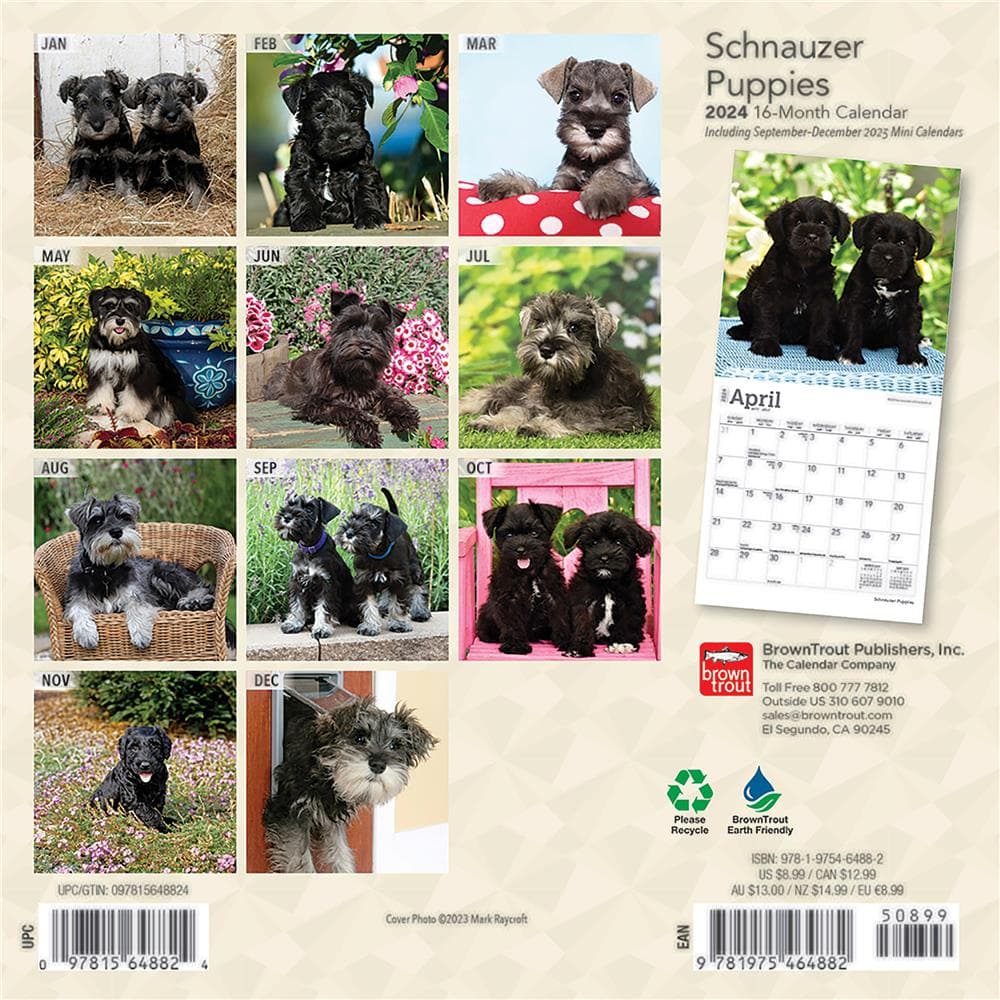 Schnauzer Puppies 2024 Mini Calendar product Image