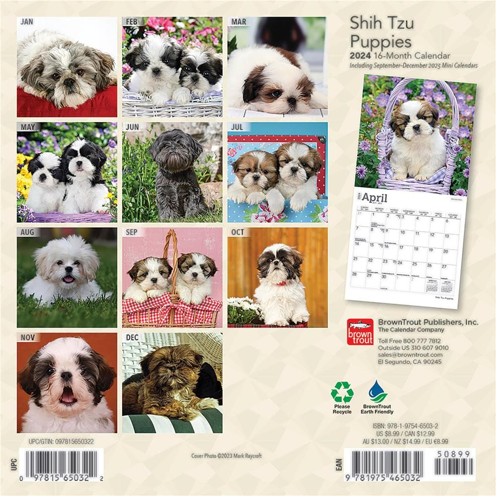 Shih Tzu Puppies 2024 Mini Calendar product Image