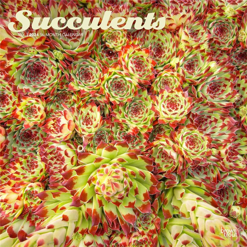 Succulents 2024 Wall Calendar product image