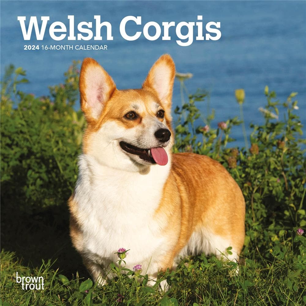 Corgis Welsh 2024 Mini Calendar product Image
