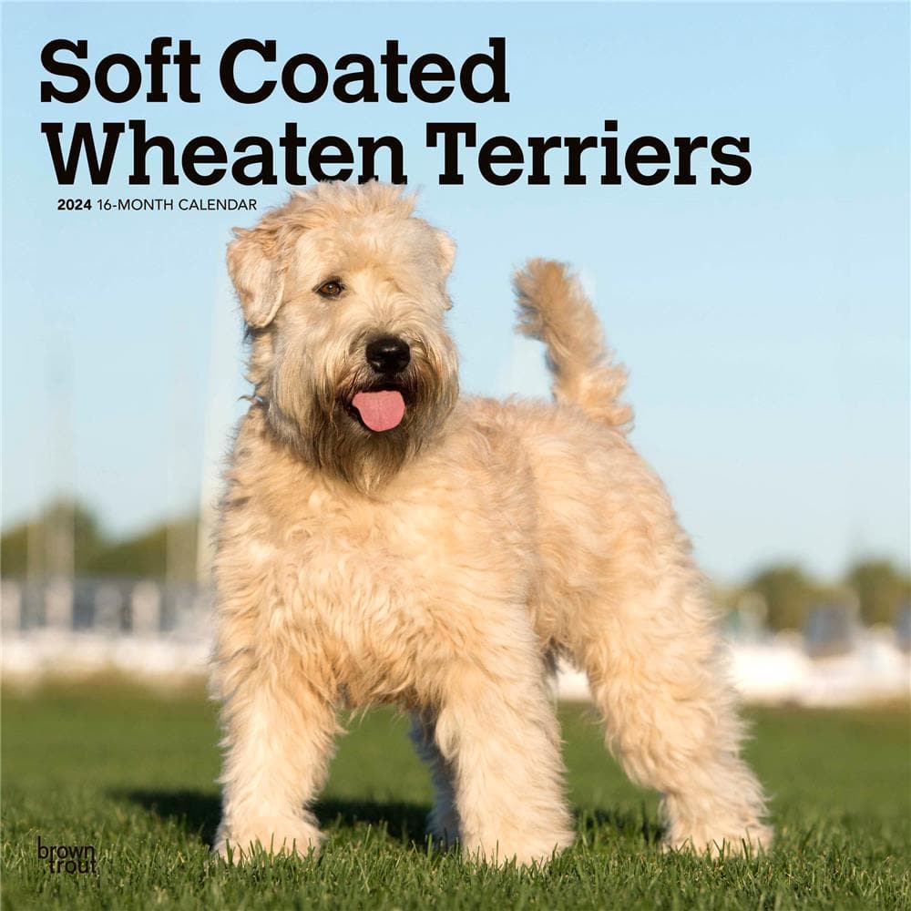 Wheaten Terriers - Soft Coated 2024 Wall Calendar product Image