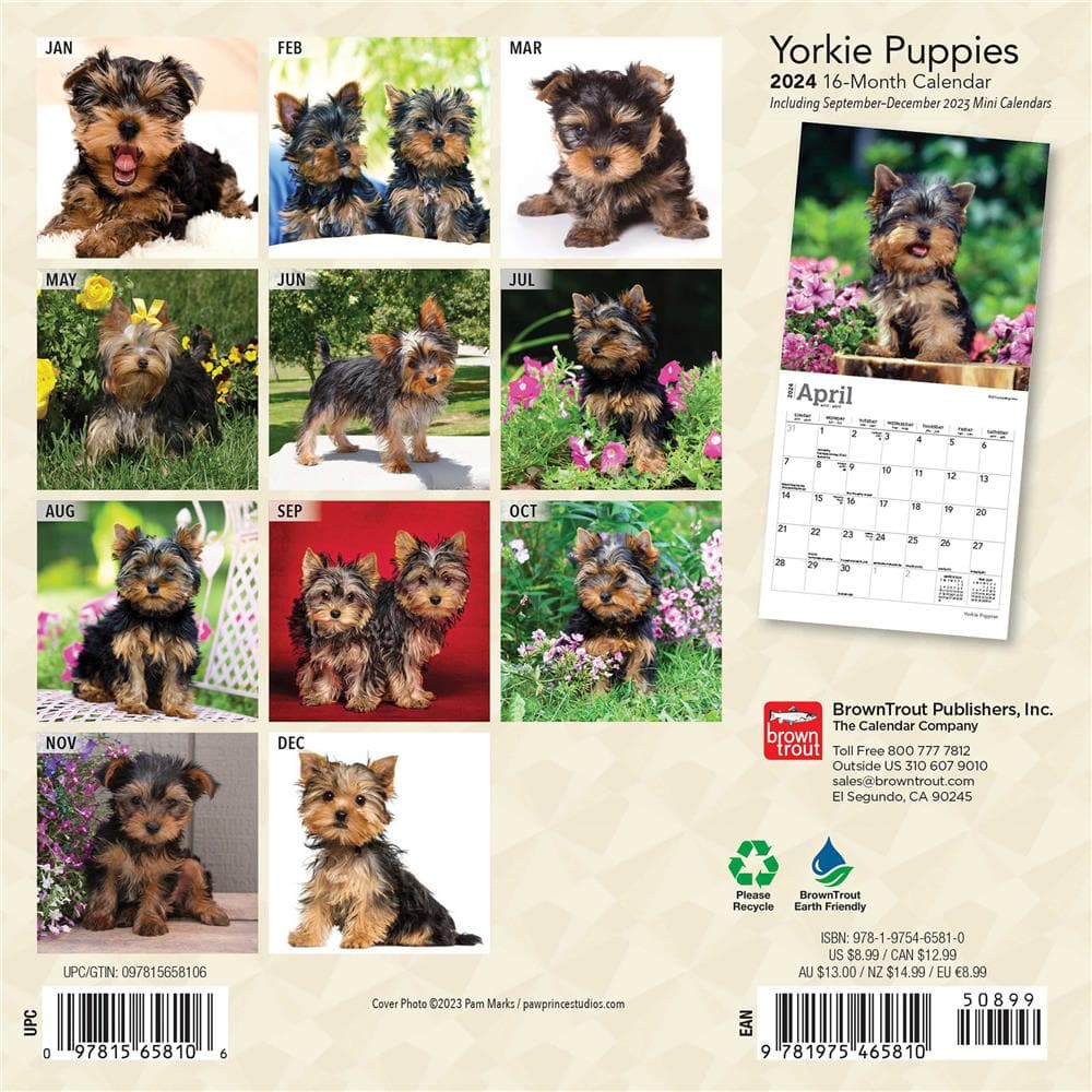 Yorkshire Terrier Puppies 2024 Mini Calendar product Image