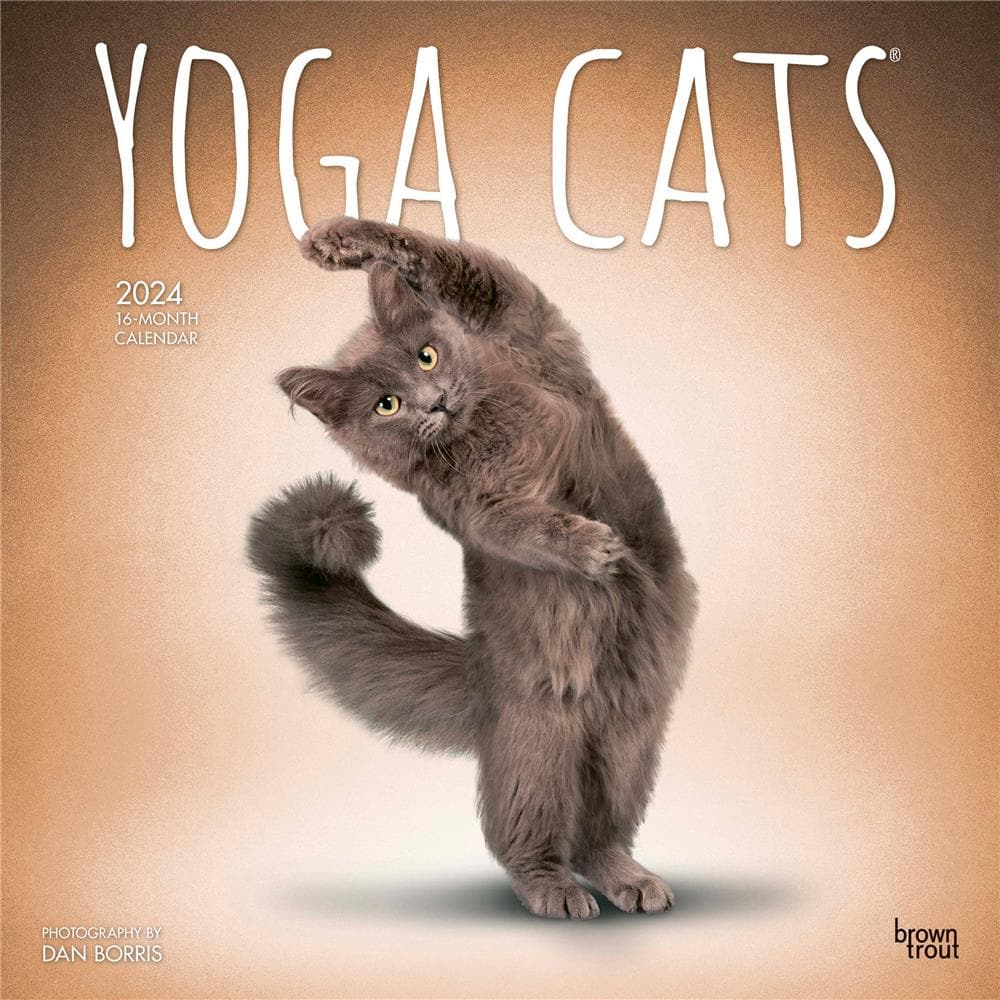 Yoga Cats 2024 Wall Calendar product image