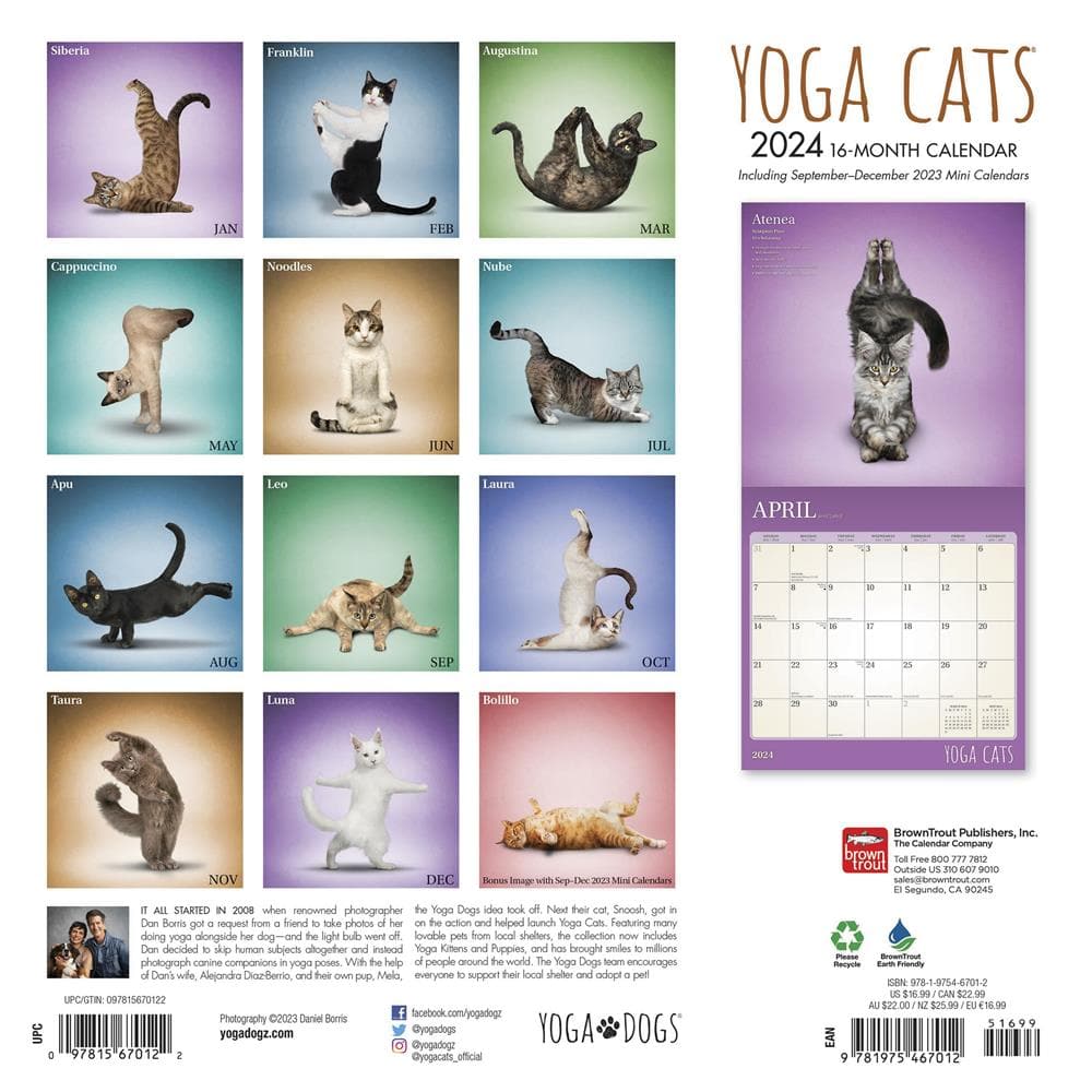Yoga Cats 2024 Wall Calendar product image