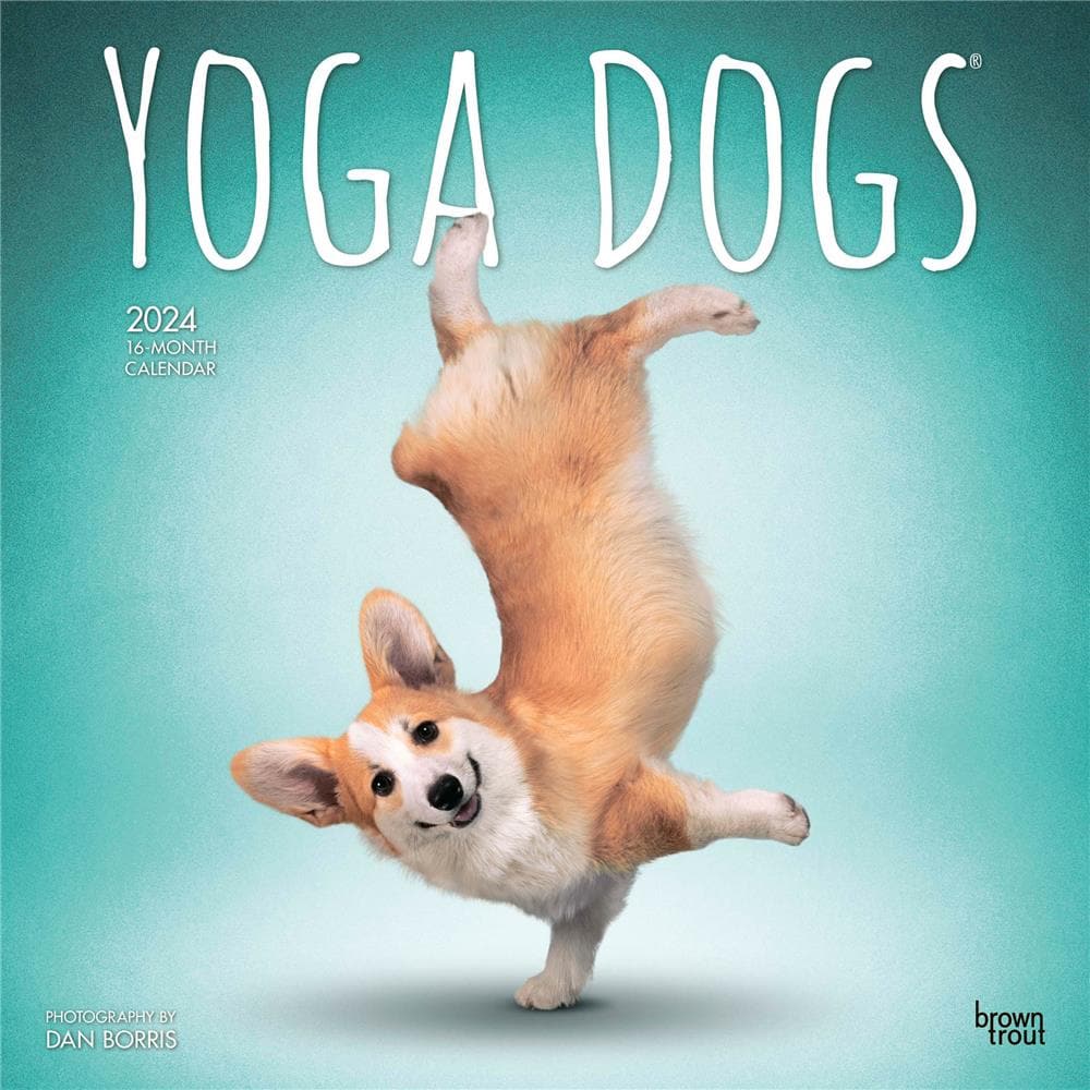 Yoga Dogs 2024 Wall Calendar product Image