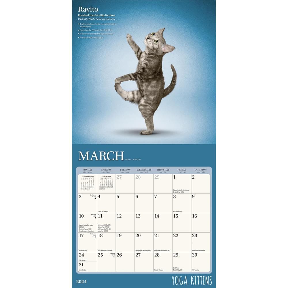 Yoga Kittens 2024 Mini Calendar product image