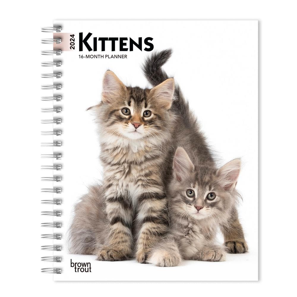 Kittens 2024 Engagement Calendar  product image