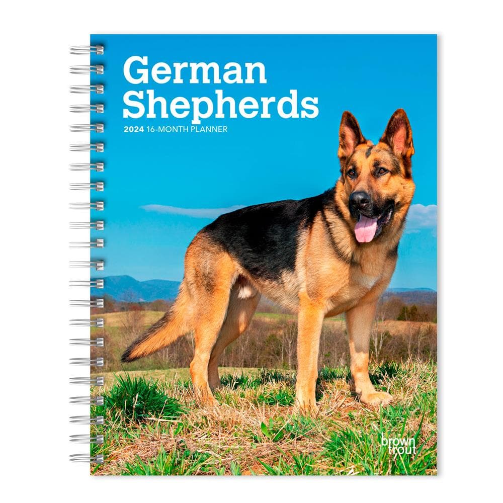 German Shepherds 2024 Engagement Calendar  product image