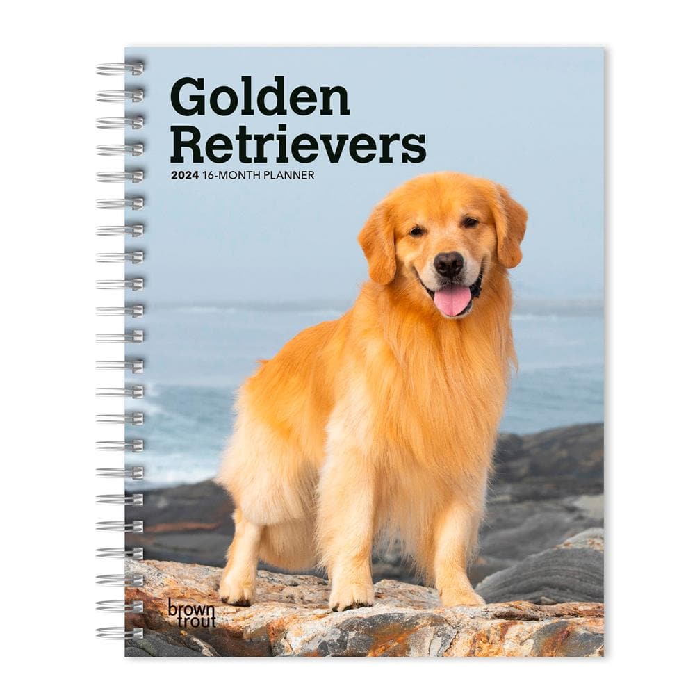 Golden Retrievers 2024 Engagement Calendar  product image