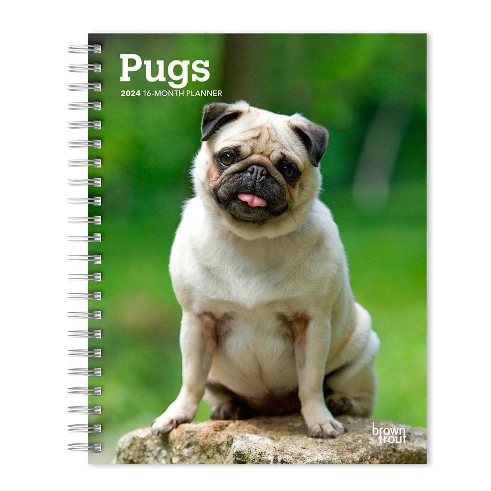 Pugs 2024 Engagement Calendar  product image